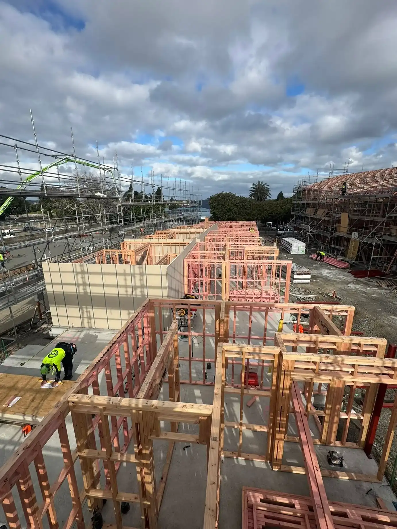 New build framing - Elevate Building and Design Auckland