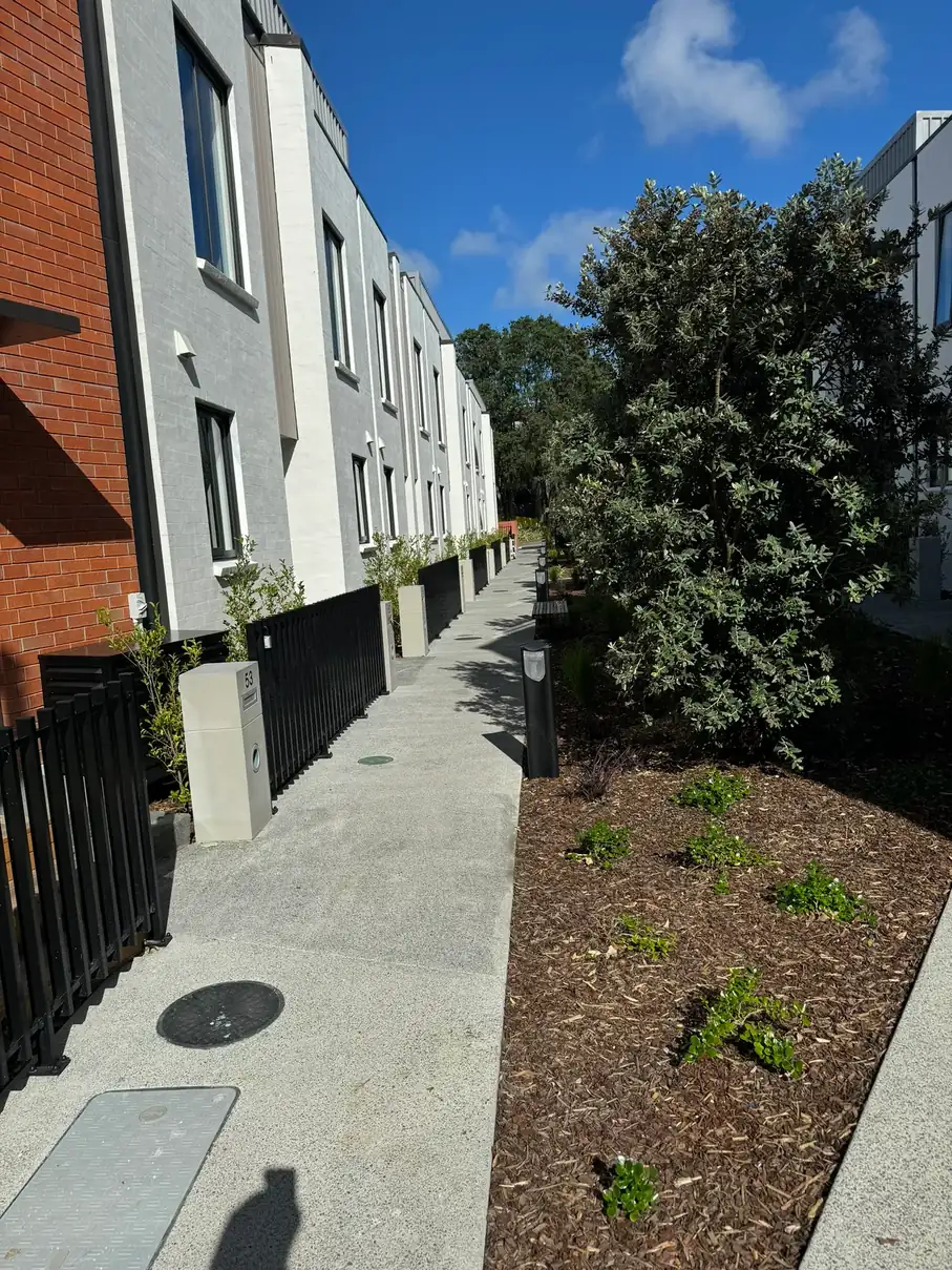 Landscaping and pathways - Elevate Building and Design Auckland