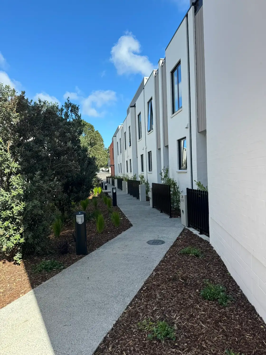 Completed landscaping and pathway - Elevate Building and Design Auckland