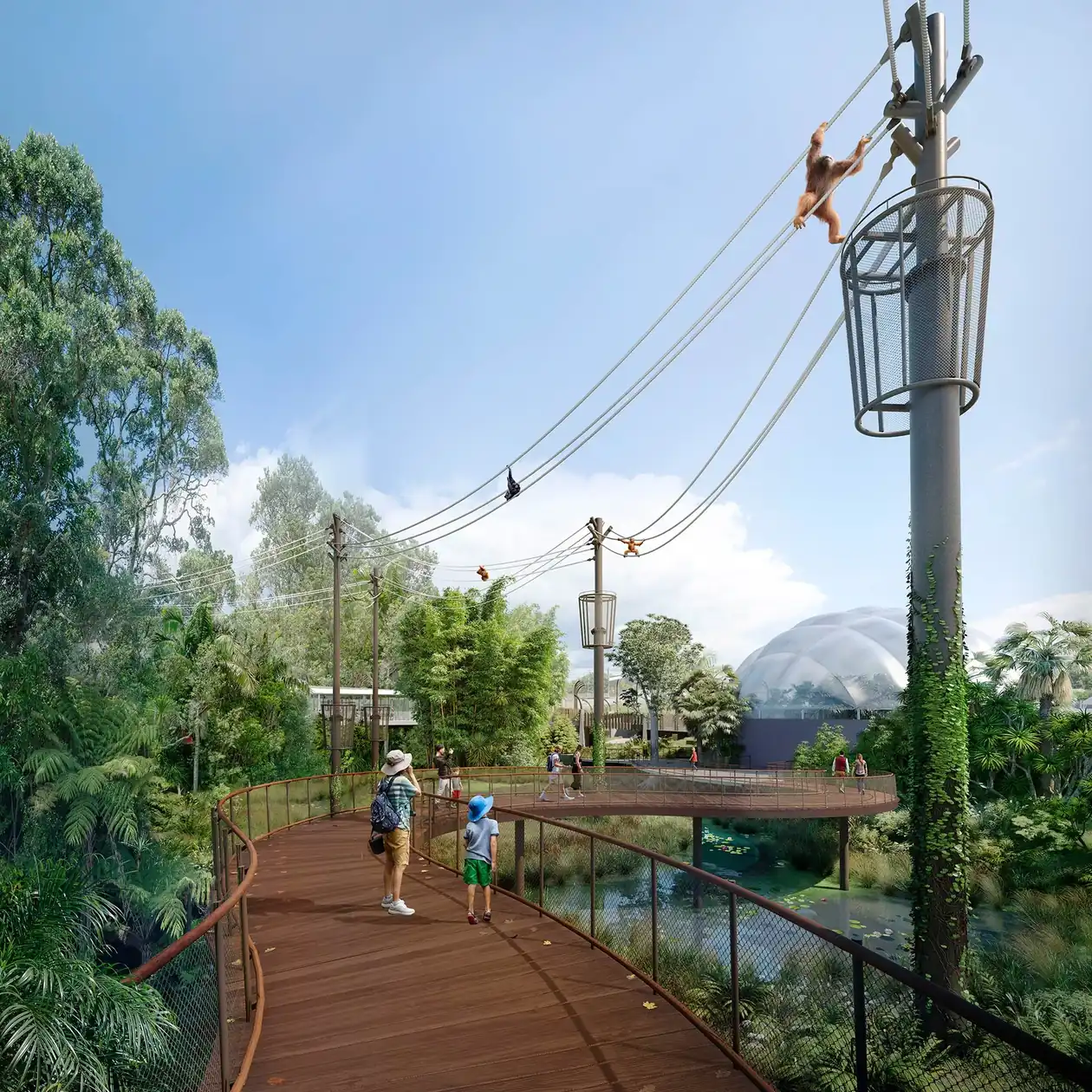 Auckland Zoo orangutan enclosure - Elevate Building and Design